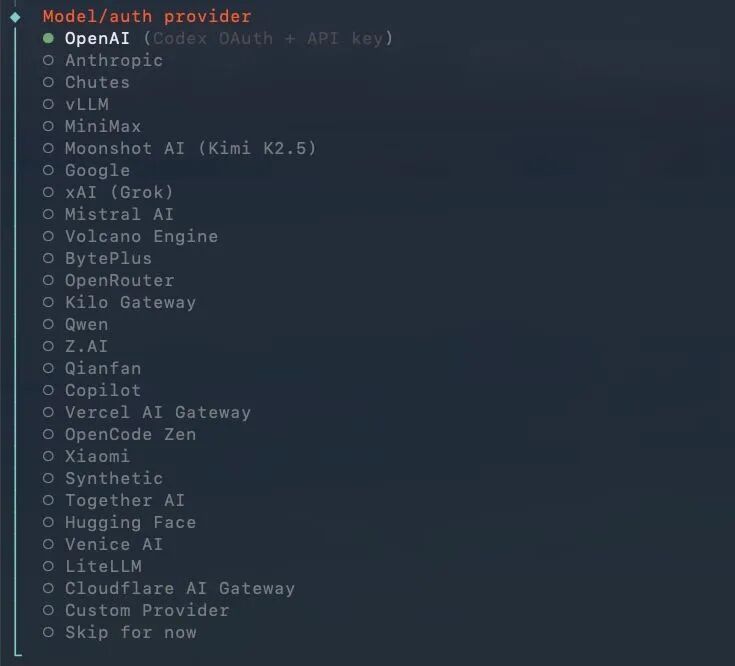 选择模型服务商