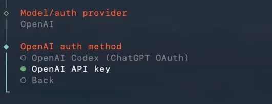 API Key 输入方式